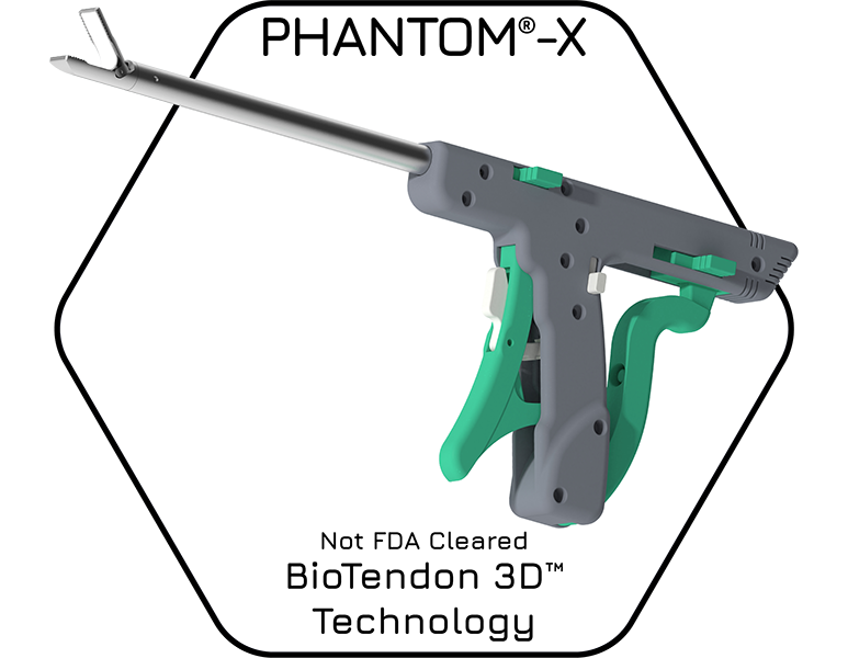 PHANTOM-X 3D Bioprinted Scaffold