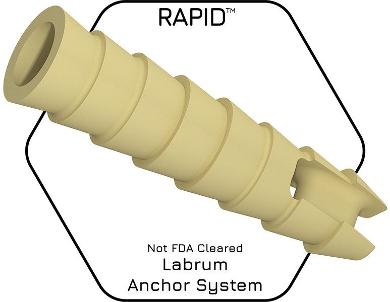 RAPID